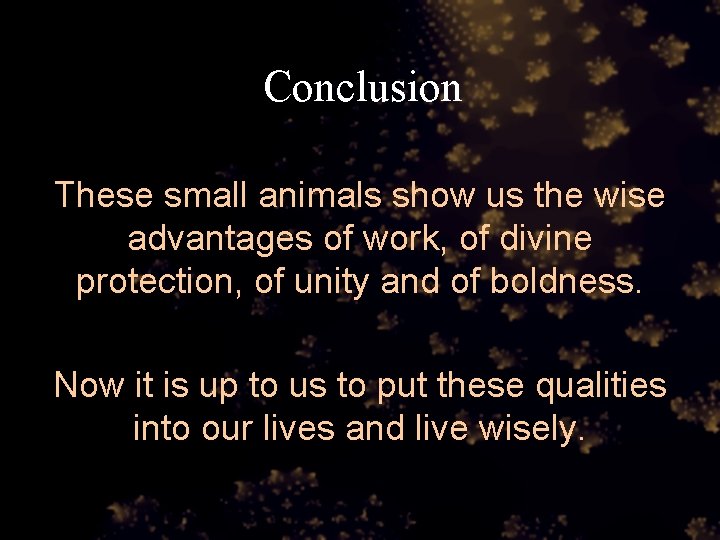 Conclusion These small animals show us the wise advantages of work, of divine protection,