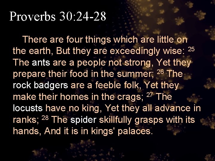 Proverbs 30: 24 -28 There are four things which are little on the earth,