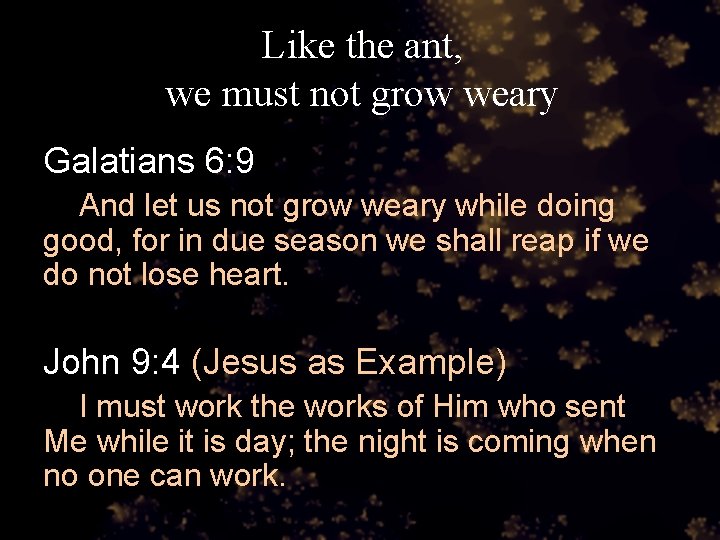 Like the ant, we must not grow weary Galatians 6: 9 And let us