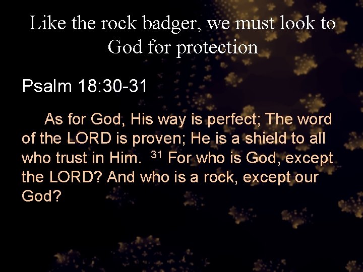 Like the rock badger, we must look to God for protection Psalm 18: 30