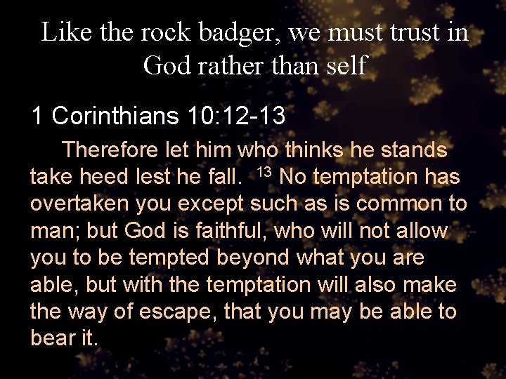 Like the rock badger, we must trust in God rather than self 1 Corinthians