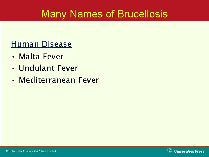 Many Names of Brucellosis Human Disease • Malta Fever • Undulant Fever • Mediterranean