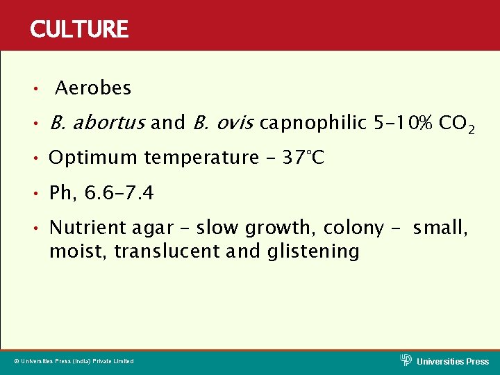 CULTURE • Aerobes • B. abortus and B. ovis capnophilic 5– 10% CO 2