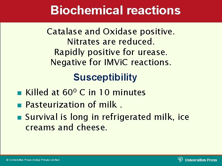 Biochemical reactions Catalase and Oxidase positive. Nitrates are reduced. Rapidly positive for urease. Negative