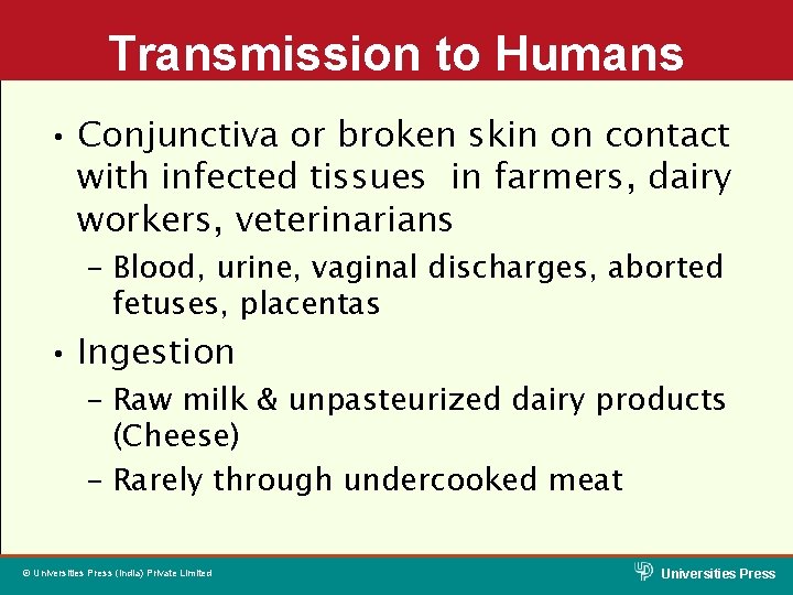 Transmission to Humans • Conjunctiva or broken skin on contact with infected tissues in