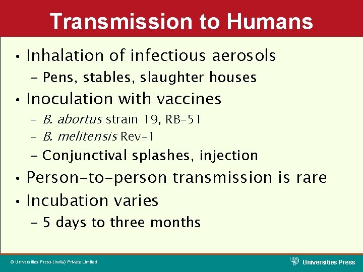 Transmission to Humans • Inhalation of infectious aerosols – Pens, stables, slaughter houses •