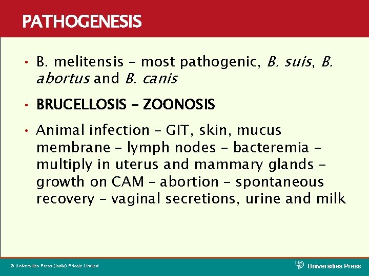 PATHOGENESIS • B. melitensis – most pathogenic, B. suis, B. abortus and B. canis