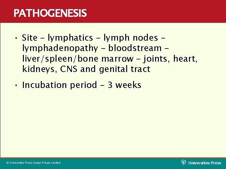 PATHOGENESIS • Site – lymphatics – lymph nodes – lymphadenopathy – bloodstream – liver/spleen/bone