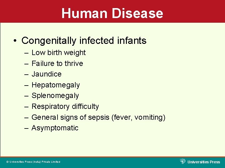 Human Disease • Congenitally infected infants – – – – Low birth weight Failure