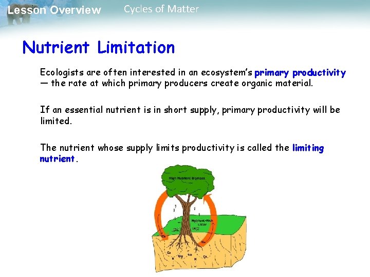 Lesson Overview Cycles of Matter Nutrient Limitation Ecologists are often interested in an ecosystem’s