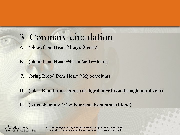 3. Coronary circulation A. (blood from Heart lungs heart) B. (blood from Heart tissue/cells