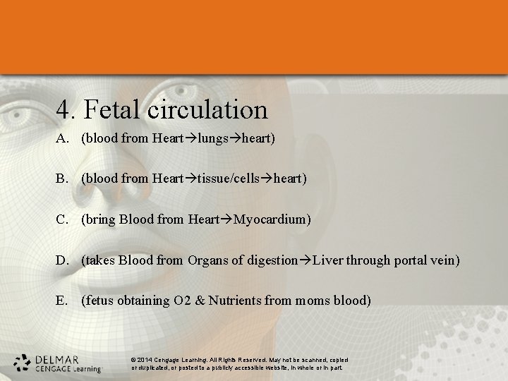 4. Fetal circulation A. (blood from Heart lungs heart) B. (blood from Heart tissue/cells 4. Fetal circulation A. (blood from Heart lungs heart) B. (blood from Heart tissue/cells