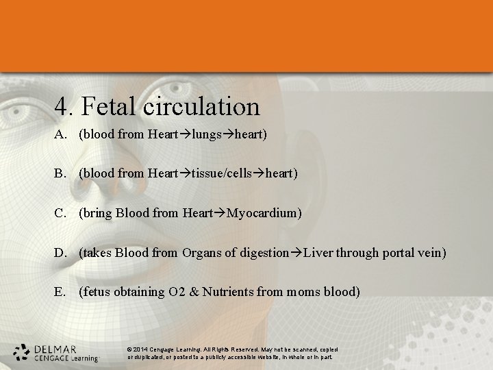 4. Fetal circulation A. (blood from Heart lungs heart) B. (blood from Heart tissue/cells