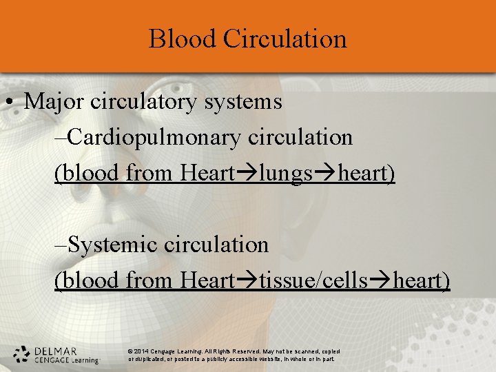 Blood Circulation • Major circulatory systems –Cardiopulmonary circulation (blood from Heart lungs heart) –Systemic Blood Circulation • Major circulatory systems –Cardiopulmonary circulation (blood from Heart lungs heart) –Systemic