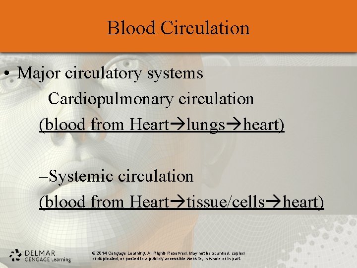 Blood Circulation • Major circulatory systems –Cardiopulmonary circulation (blood from Heart lungs heart) –Systemic