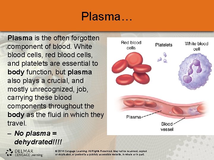 Plasma… Plasma is the often forgotten component of blood. White blood cells, red blood