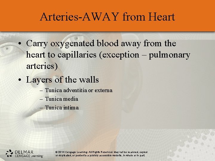 Arteries-AWAY from Heart • Carry oxygenated blood away from the heart to capillaries (exception