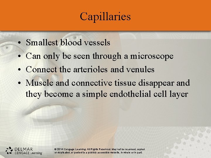 Capillaries • • Smallest blood vessels Can only be seen through a microscope Connect Capillaries • • Smallest blood vessels Can only be seen through a microscope Connect