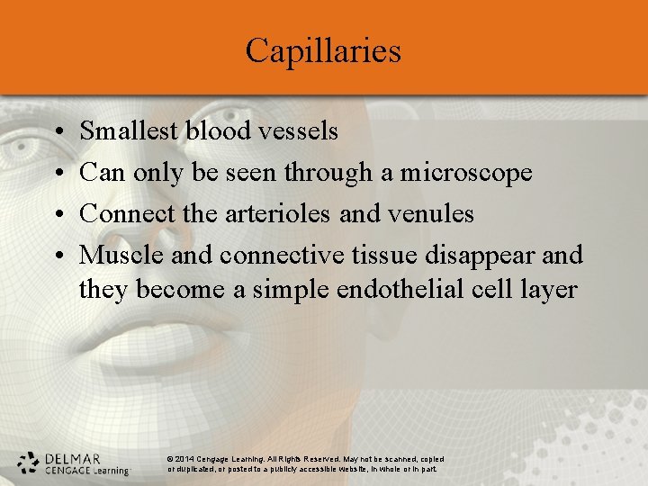 Capillaries • • Smallest blood vessels Can only be seen through a microscope Connect