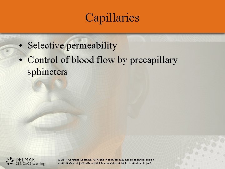 Capillaries • Selective permeability • Control of blood flow by precapillary sphincters © 2014 Capillaries • Selective permeability • Control of blood flow by precapillary sphincters © 2014