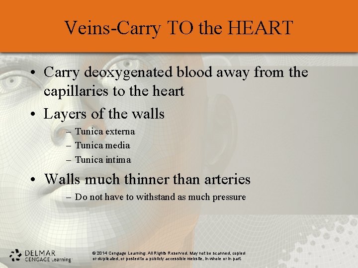 Veins-Carry TO the HEART • Carry deoxygenated blood away from the capillaries to the