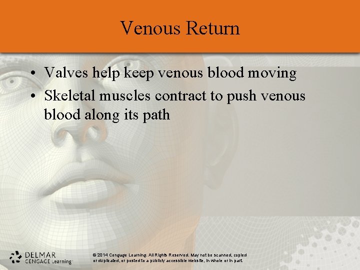 Venous Return • Valves help keep venous blood moving • Skeletal muscles contract to Venous Return • Valves help keep venous blood moving • Skeletal muscles contract to