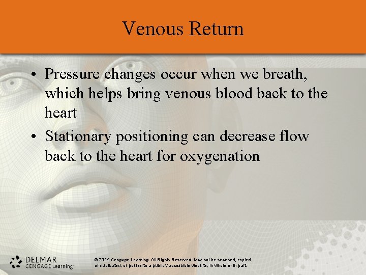 Venous Return • Pressure changes occur when we breath, which helps bring venous blood Venous Return • Pressure changes occur when we breath, which helps bring venous blood