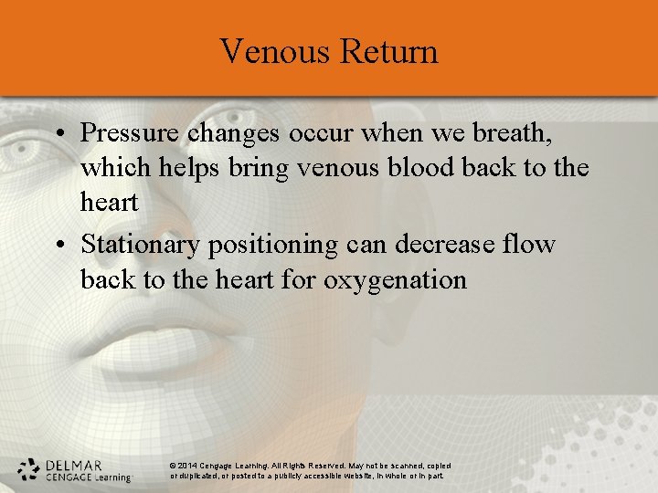 Venous Return • Pressure changes occur when we breath, which helps bring venous blood