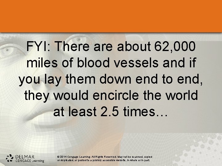 FYI: There about 62, 000 miles of blood vessels and if you lay them FYI: There about 62, 000 miles of blood vessels and if you lay them