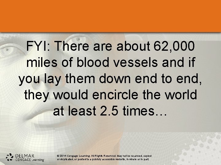FYI: There about 62, 000 miles of blood vessels and if you lay them