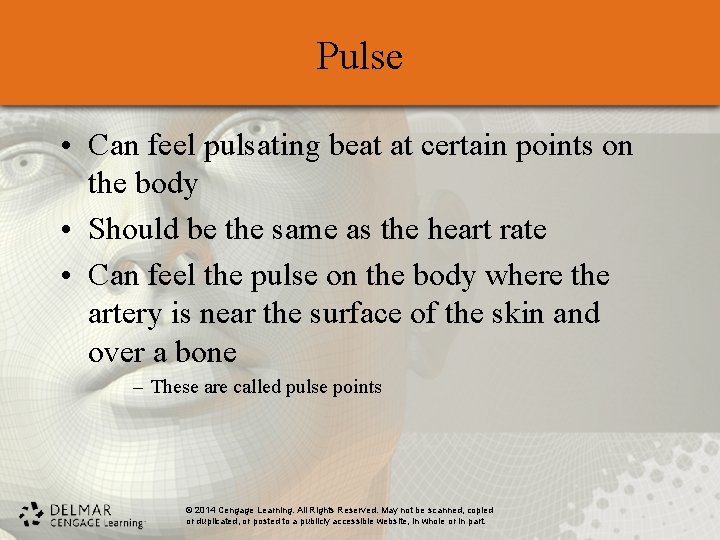 Pulse • Can feel pulsating beat at certain points on the body • Should