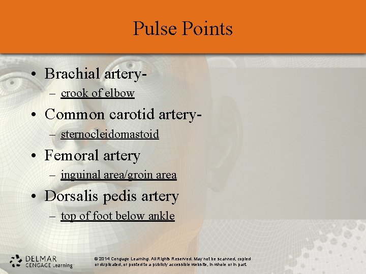 Pulse Points • Brachial artery– crook of elbow • Common carotid artery– sternocleidomastoid •