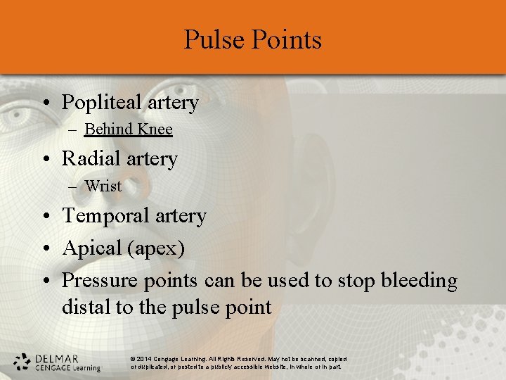 Pulse Points • Popliteal artery – Behind Knee • Radial artery – Wrist •