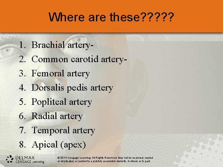 Where are these? ? ? 1. 2. 3. 4. 5. 6. 7. 8. Brachial