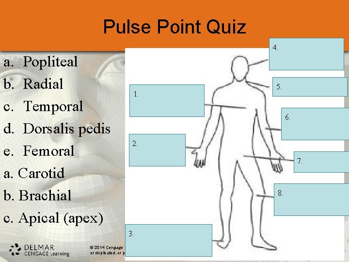 Pulse Point Quiz 4. a. Popliteal b. Radial c. Temporal d. Dorsalis pedis e.