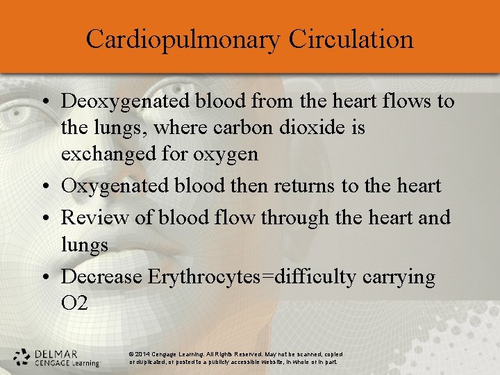 Cardiopulmonary Circulation • Deoxygenated blood from the heart flows to the lungs, where carbon
