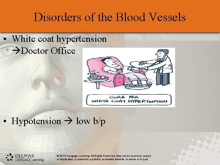 Disorders of the Blood Vessels • White coat hypertension Doctor Office • Hypotension low Disorders of the Blood Vessels • White coat hypertension Doctor Office • Hypotension low