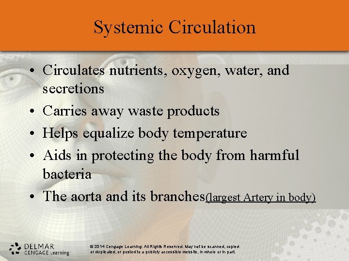 Systemic Circulation • Circulates nutrients, oxygen, water, and secretions • Carries away waste products Systemic Circulation • Circulates nutrients, oxygen, water, and secretions • Carries away waste products