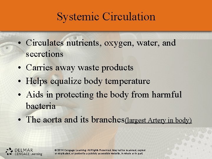 Systemic Circulation • Circulates nutrients, oxygen, water, and secretions • Carries away waste products