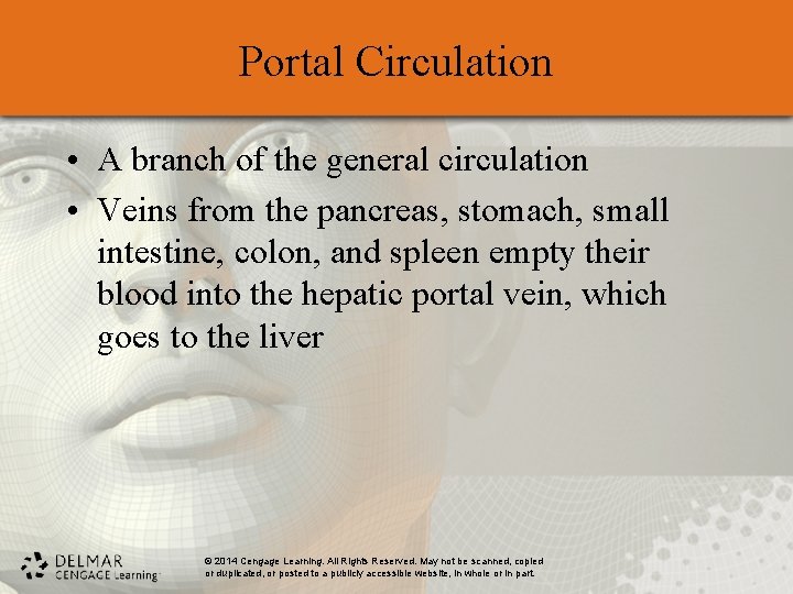 Portal Circulation • A branch of the general circulation • Veins from the pancreas,