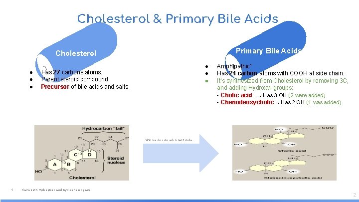 Cholesterol & Primary Bile Acids Cholesterol ● ● ● 1 ● ● ● Has