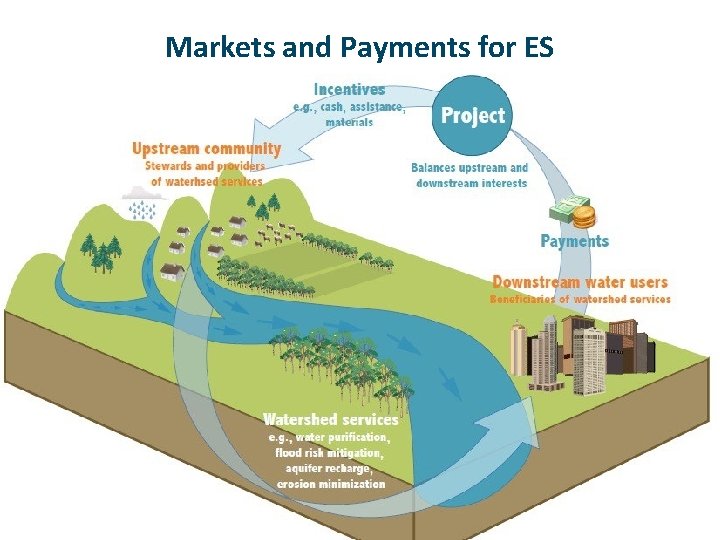 Markets and Payments for ES 13 