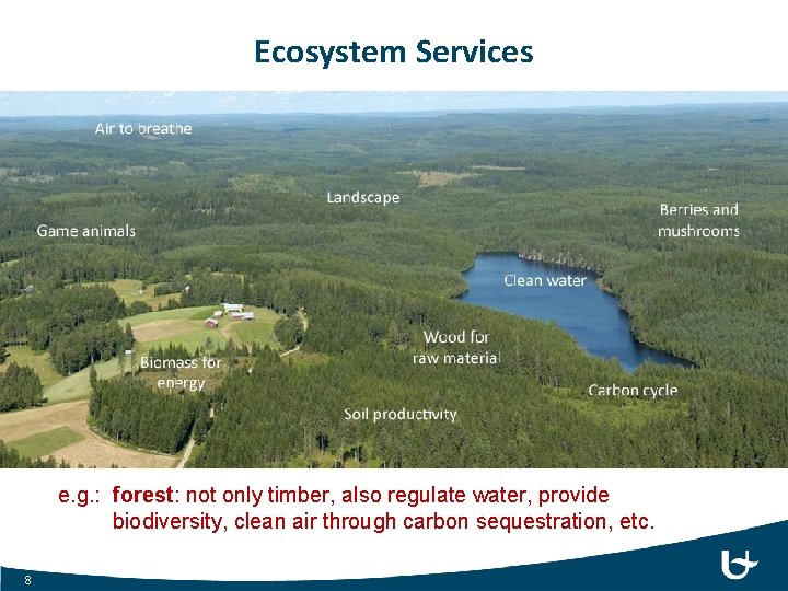 Ecosystem Services e. g. : forest: not only timber, also regulate water, provide biodiversity,