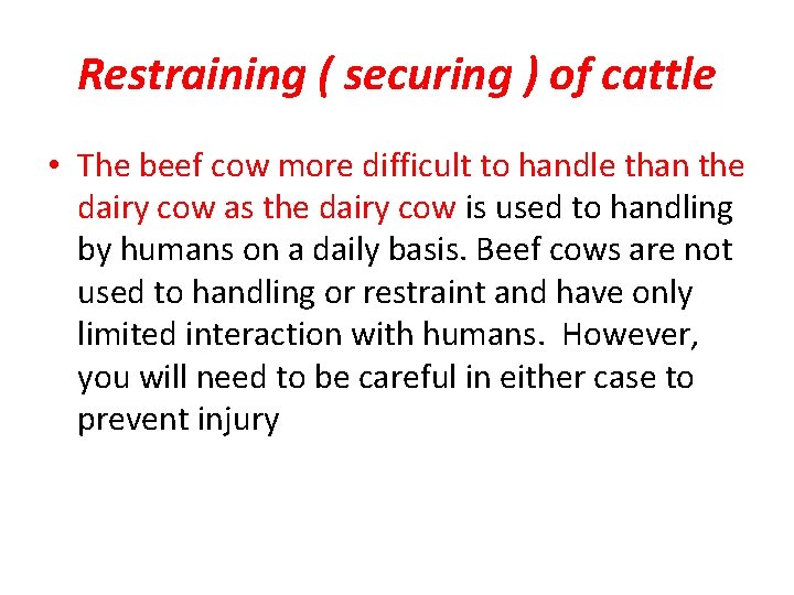 Restraining ( securing ) of cattle • The beef cow more difficult to handle