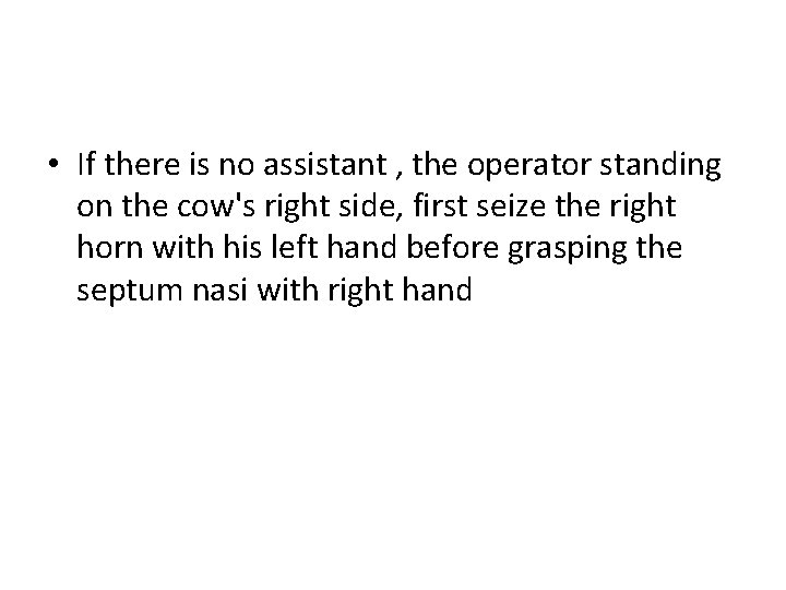 • If there is no assistant , the operator standing on the cow's • If there is no assistant , the operator standing on the cow's