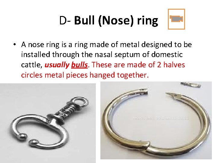 D- Bull (Nose) ring • A nose ring is a ring made of metal