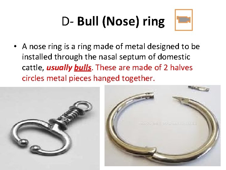 D- Bull (Nose) ring • A nose ring is a ring made of metal D- Bull (Nose) ring • A nose ring is a ring made of metal