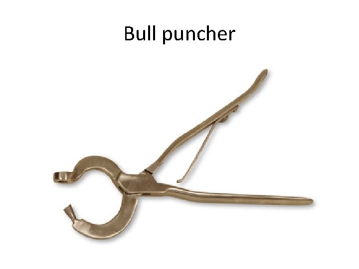 Bull puncher Bull puncher