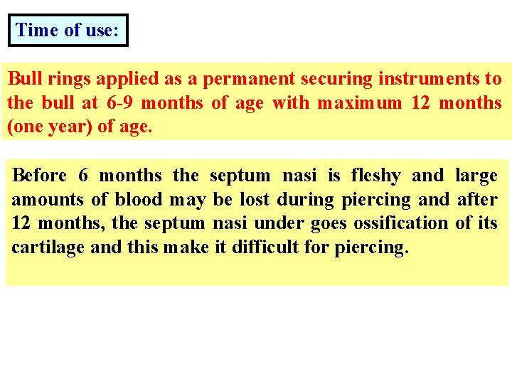 Time of use: Bull rings applied as a permanent securing instruments to the bull