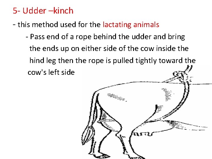 5 - Udder –kinch - this method used for the lactating animals - Pass